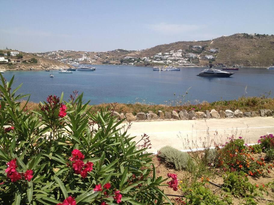 Paris House Apartment Mykonos Town Exterior photo